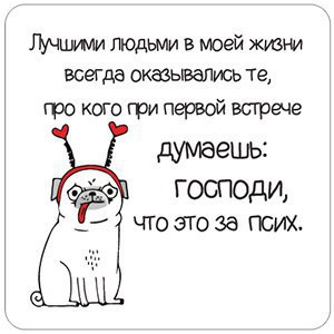 - 15  2016  12:55