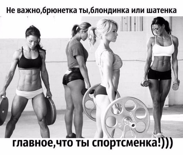 SportFeed - 17  2016  01:26