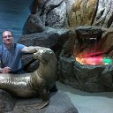 ���� �������, ���������, 54 ���� - ��������� 9 �������� 2016 � ������ ���� ����������