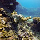 ���� Eric, ����, 61 ��� - ��������� 29 ������ 2016 � ������ �The beauty of the sea�