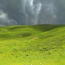  A-nn-i, , 49  -  5  2016    