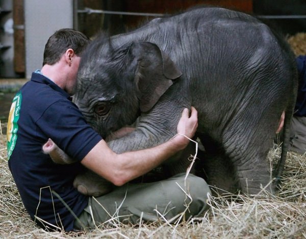   .#animal@travel.blog