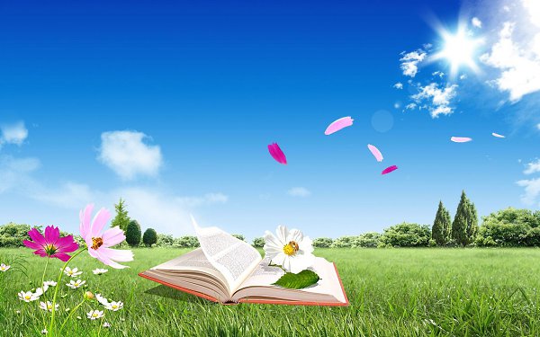 Душа как книга... КТО-ТО БЕРЕЖНО ЛИСТАЕТ, Читая вслух, вникая в смысл, черпая суть..., А кто-то рвёт ...