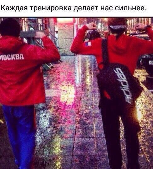  -   - 28  2016  13:49