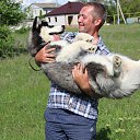 ���� �������, ����������, 43 ���� - ��������� 30 ���� 2016 � ������ ���� ����������