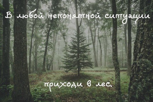   -   - 9  2016  00:06