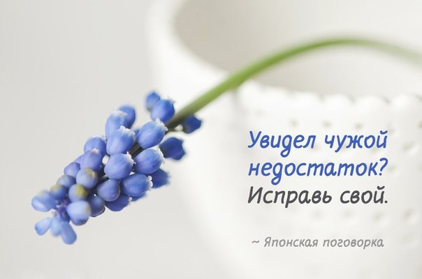   <a href=