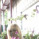 ���� ��������, ������, 49 ��� - ��������� 20 ��� 2016 � ������ ���� ����������