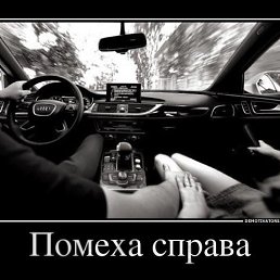 ���� ������, �������, 40 ��� - ��������� 17 ���� 2016