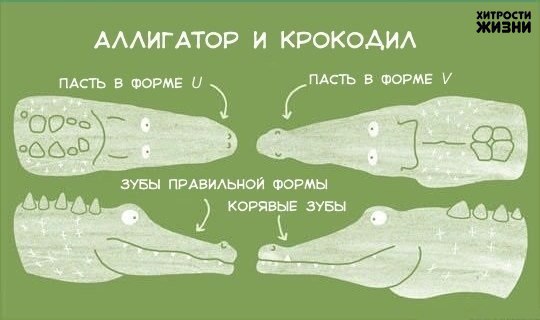   ,   - 3