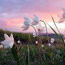 ���� �����, �����������, 58 ��� - ��������� 11 ������ 2016 � ������ ���� ����������