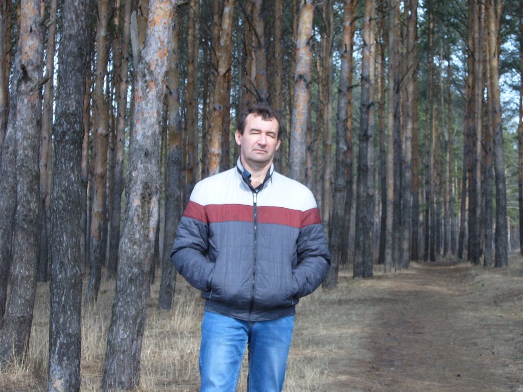 Сергей - 5 августа 2016 в 19:07