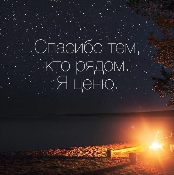 LIFE -  - 29  2016  11:29