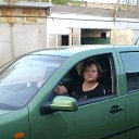 ���� �������, �����������, 48 ��� - ��������� 31 ����� 2016 � ������ ���� ����������
