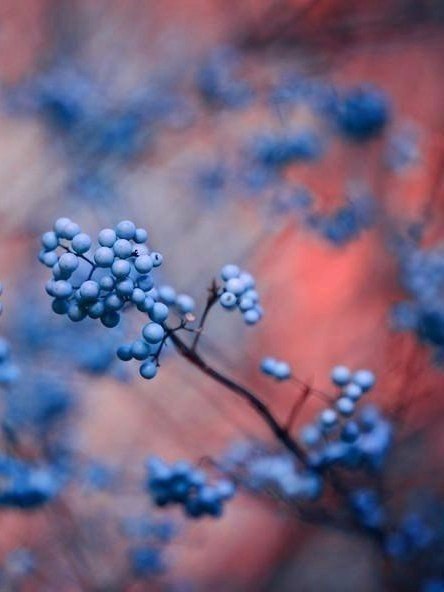 Art & Fun - 28  2016  01:02 - 3