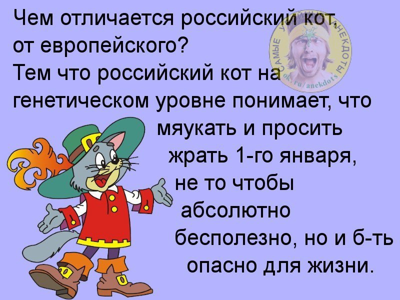  - ,  - 10  2016  16:28 - 2