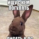 ���� �������, �������, 42 ���� - ��������� 16 ����� 2016 � ������ ���� ����������