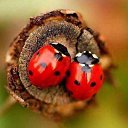 ���� �����, ���������� - ��������� 6 ������ 2016 � ������ ���� ����������