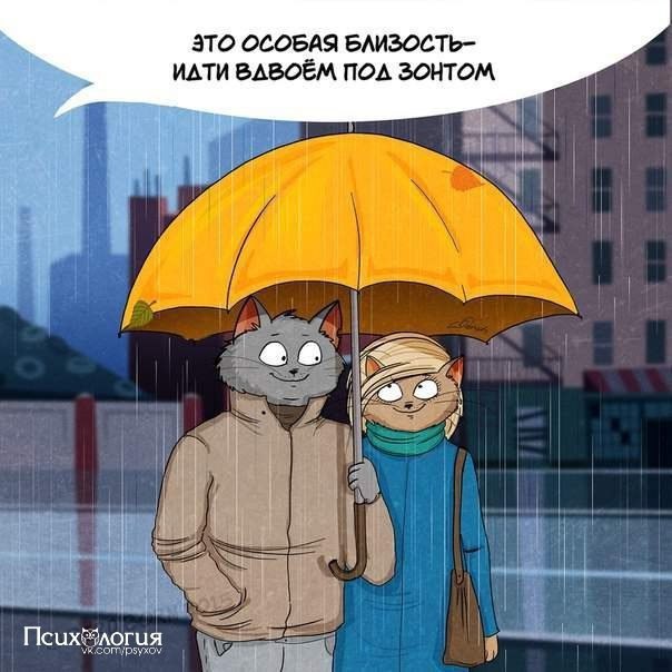     .         ...