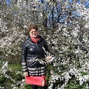 ���� �������, ���������, 68 ��� - ��������� 5 ������ 2016 � ������ ���� ����������