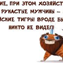 ���� �������, �������, 52 ���� - ��������� 1 ������� 2016 � ������ ������ ��������