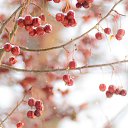 ���� ������, �������, 53 ���� - ��������� 27 ����� 2016 � ������ ������ ��������