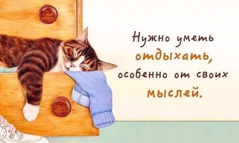 .https://fotostrana.ru/away?to=/sl/kxC2 - 23  2016  13:48