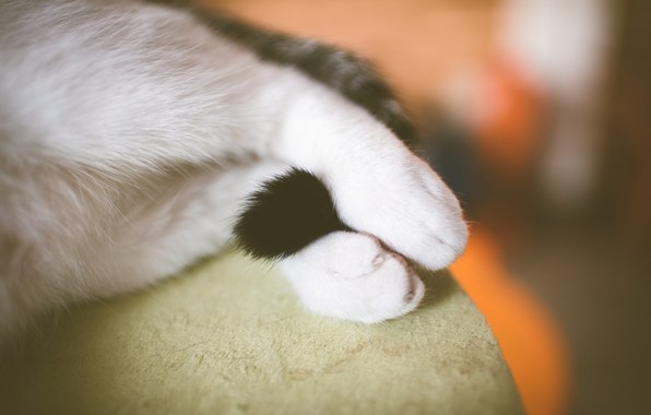 Я люблю ночью одеялко между ног прокладывать, а мой котик - хвостик :3