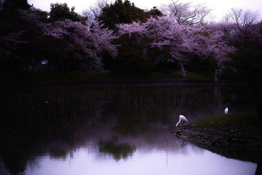        National Geographic - 2