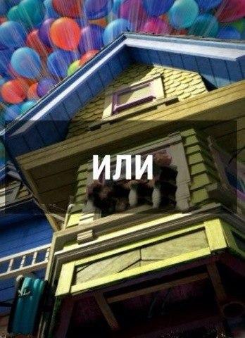 ...    ...  - 2