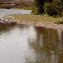 ���� ������, ��� - ��������� 10 ������� 2016 � ������ ���� ����������