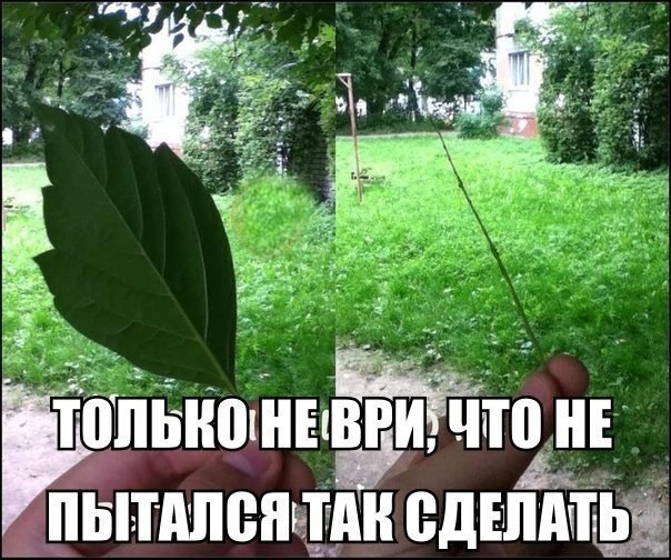    :D - 5  2016  05:37