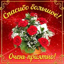 ���� �������, �����������, 50 ��� - ��������� 18 ���� 2016 � ������ �������� ��������