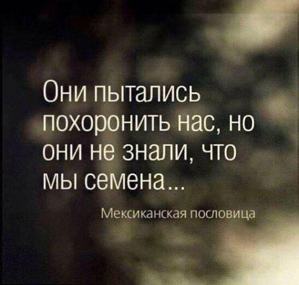 LIFE -  - 13  2016  16:25
