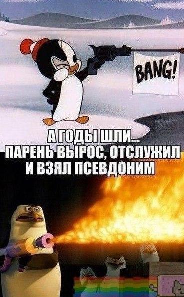 ? ,  ! - 16  2016  23:06