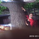 ���� ������, ���������, 53 ���� - ��������� 19 ���� 2016