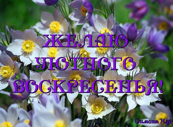 Доброго воскресного утра и хорошего дня