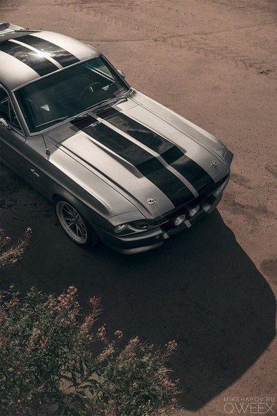 1967 Shelby GT500E - 3