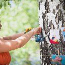 ���� ˸��, ������ - ��������� 29 ���� 2016 � ������ �������� 16.06.16 �.�����