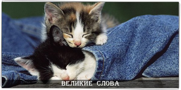 Лекарство, на которое никогда и ни у кого не будет аллергии - это нежность…