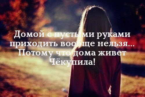   - 28  2016  15:34