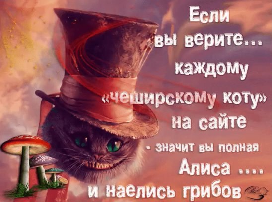  - 2  2016  09:35