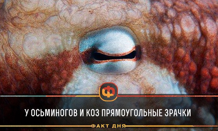   - 3  2016  19:23