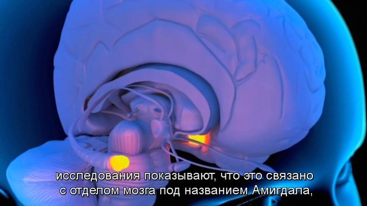   .(The Truth About Personality)       ... - 3
