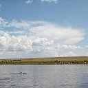 ���� ���, ����������, 61 ��� - ��������� 21 ���� 2016 � ������ �����