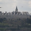 ���� Sereja, �������, 37 ��� - ��������� 9 �������� 2016 � ������ ���� ����������