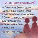 ���� ����, ����, 56 ��� - ��������� 14 ������ 2016 � ������ ������ ��������