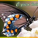 ���� ������, ��������, 79 ��� - ��������� 20 ���� 2016 � ������ �������� ��������