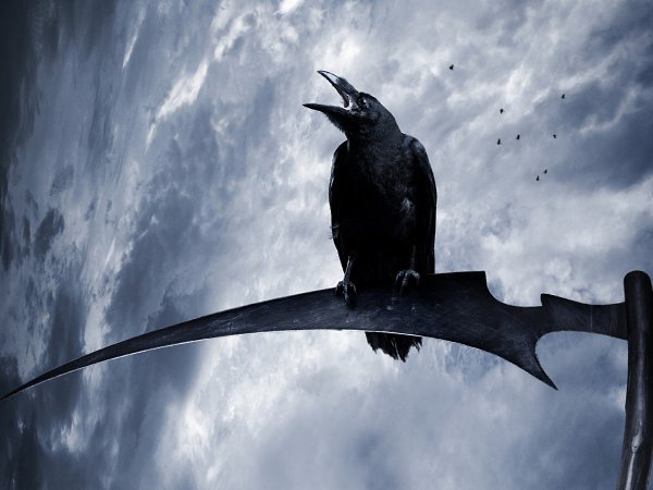 ���������� ������� ���� � Alisa Omelyanenko � ��� �����������.