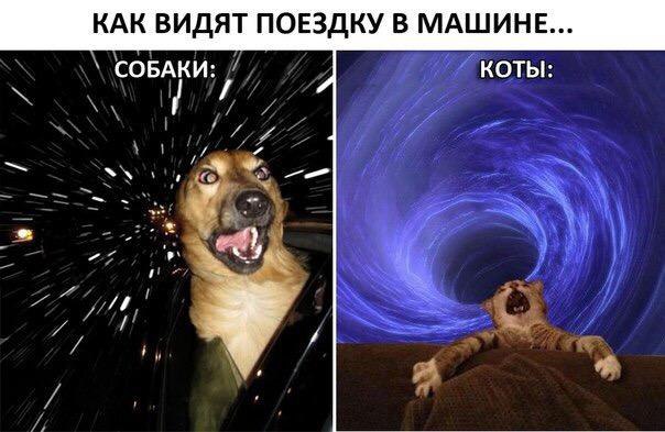    - 14  2016  17:20
